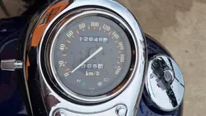 Kawasaki VN 800 Classic (2001 - 06)  (2)