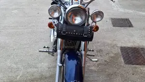 Kawasaki VN 800 Classic (2001 - 06)  (3)