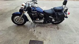 Kawasaki VN 800 Classic (2001 - 06)  (4)