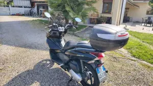 Honda PCX 125 (2009 - 13)  (2)