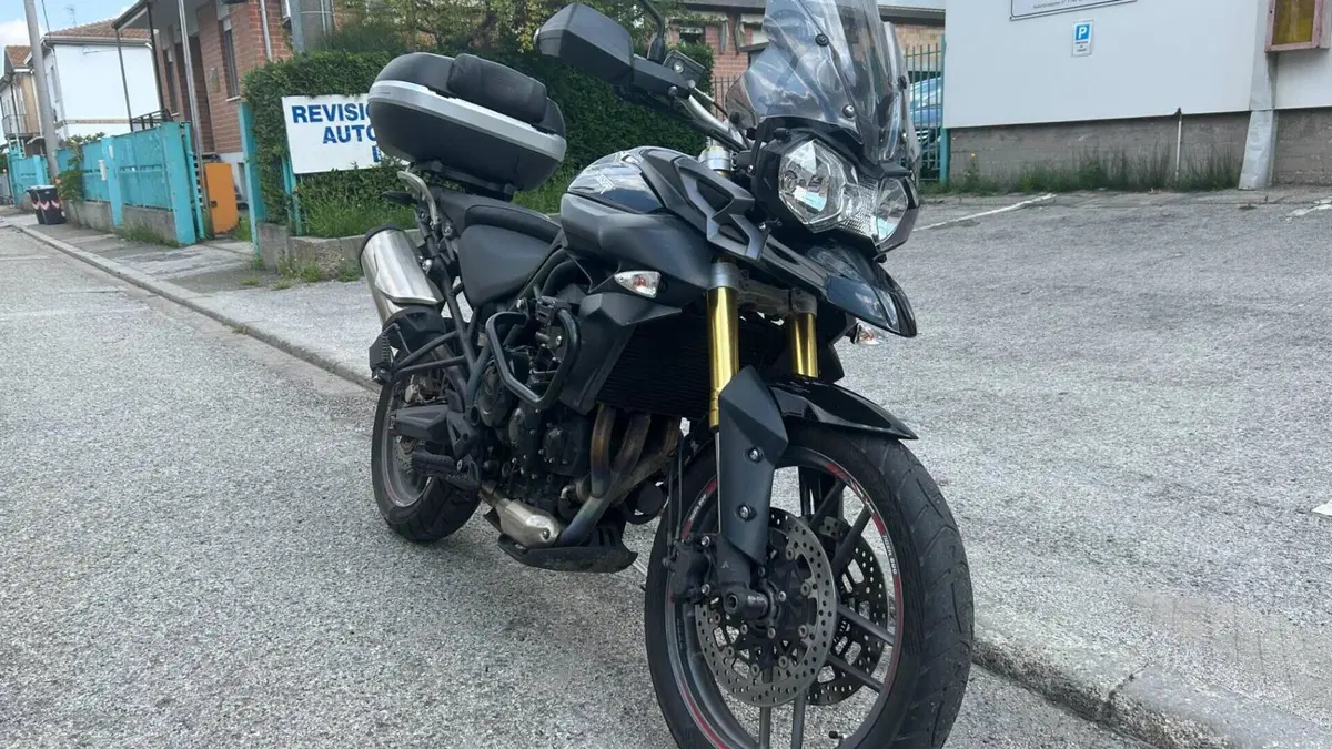 Triumph Tiger 800 ABS (2010 - 14)  (5)