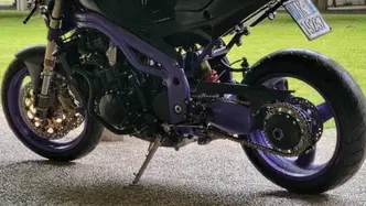 Triumph Speed Triple 955 (1998 - 01) usata