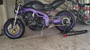Triumph Speed Triple 955 (1998 - 01)  (2)