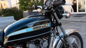 Suzuki   (2)