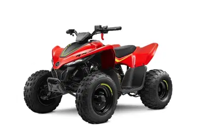 Altre moto o tipologie Quad - Annuncio 10013589