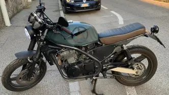 Kawasaki ER-5 500 (2001 - 06) usata