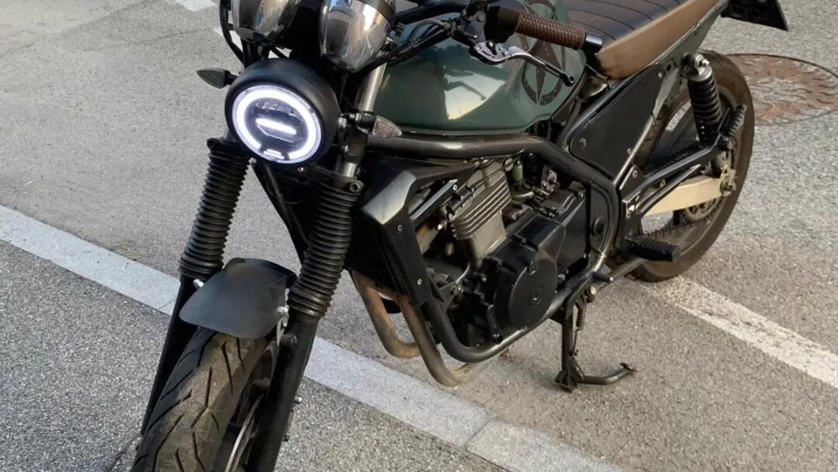 Kawasaki ER-5 500 (2001 - 06)  (8)