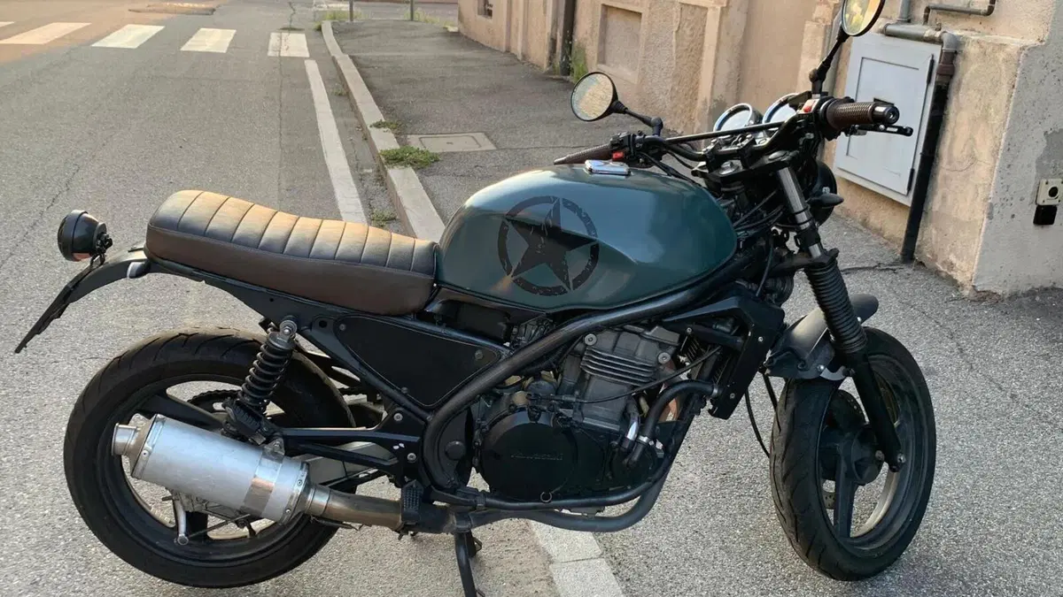 Kawasaki ER-5 500 (2001 - 06)  (9)