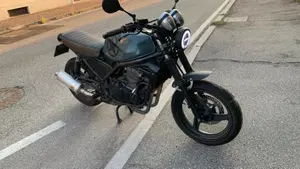 Kawasaki ER-5 500 (2001 - 06)  (10)