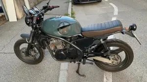 Kawasaki ER-5 500 (2001 - 06)  (12)