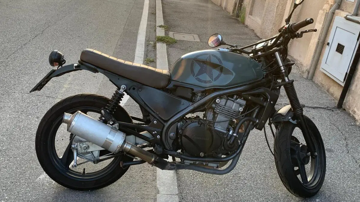 Kawasaki ER-5 500 (2001 - 06)  (14)