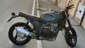 Kawasaki ER-5 500 (2001 - 06)  (14)
