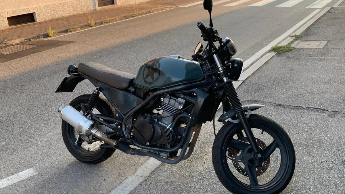 Kawasaki ER-5 500 (2001 - 06)  (15)