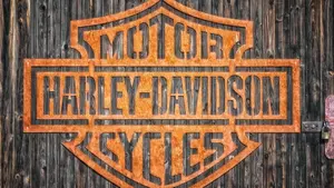 Harley-Davidson 1200 XR (2009 - 12)  (5)