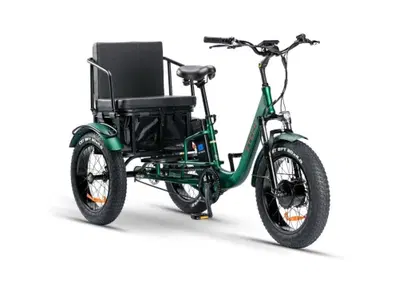  Altre moto o tipologie Elettrico - Annuncio 10013668
