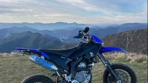 Yamaha WR 250 X (2008 - 13)  (3)