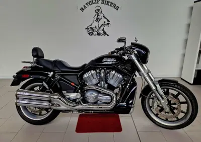 Harley-Davidson 1130 Street Rod (2006 - 07) - VRSCR - Annuncio 10013704