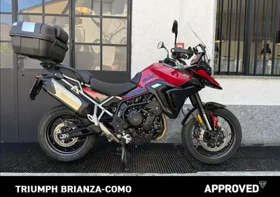 Triumph Tiger 900 GT (2024 - 26) - Annuncio 10012937