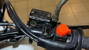 Honda   (7)