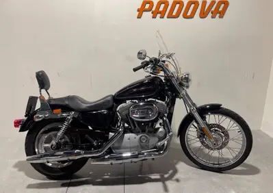 Harley-Davidson 883 Custom (2008 - 12) - XL 883C - Annuncio 10013825