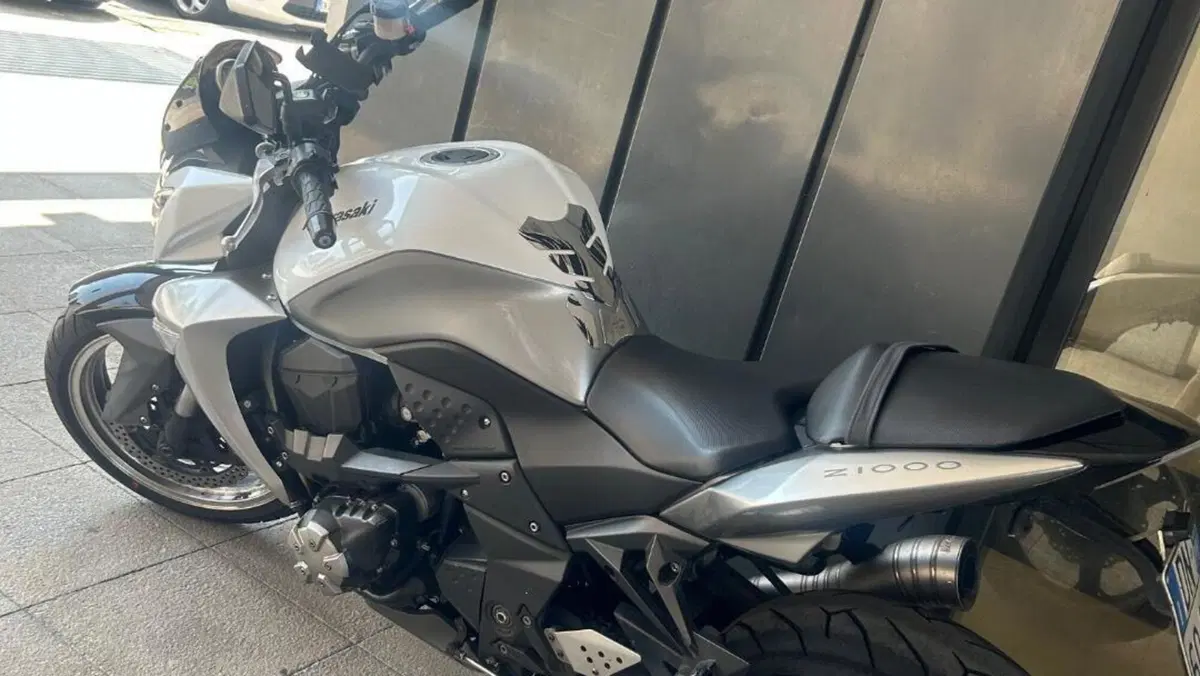 Kawasaki Z 1000 (2007 - 09)  (2)