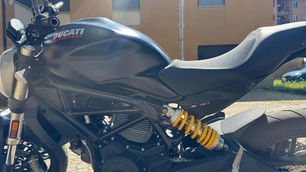 Ducati Monster 797 (2017 - 18)  (4)