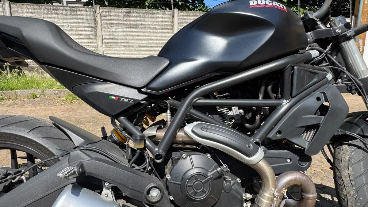 Ducati Monster 797 (2017 - 18)  (5)
