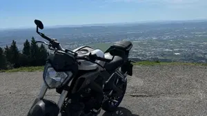Yamaha MT-125 (2014 - 16)  (6)