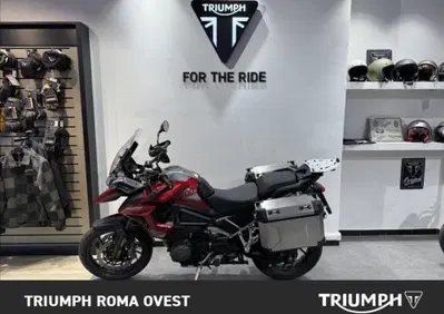 Triumph Tiger 1200 GT Pro (2024 - 26) - Annuncio 10014022
