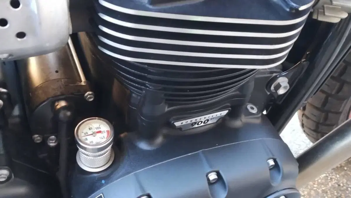 Triumph Street Twin 900 (2016)  (6)