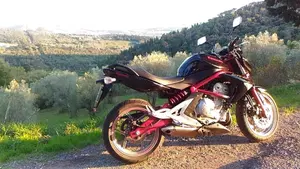 Kawasaki ER-6N (2006 - 09)  (4)