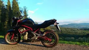 Kawasaki ER-6N (2006 - 09)  (7)