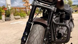 Harley-Davidson 114 Fat Bob (2018 - 20) - FXFBS  (2)