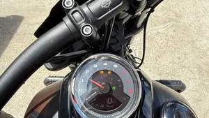 Harley-Davidson 114 Fat Bob (2018 - 20) - FXFBS  (6)