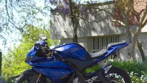 Yamaha YZF R125 (2017 - 18)  (3)