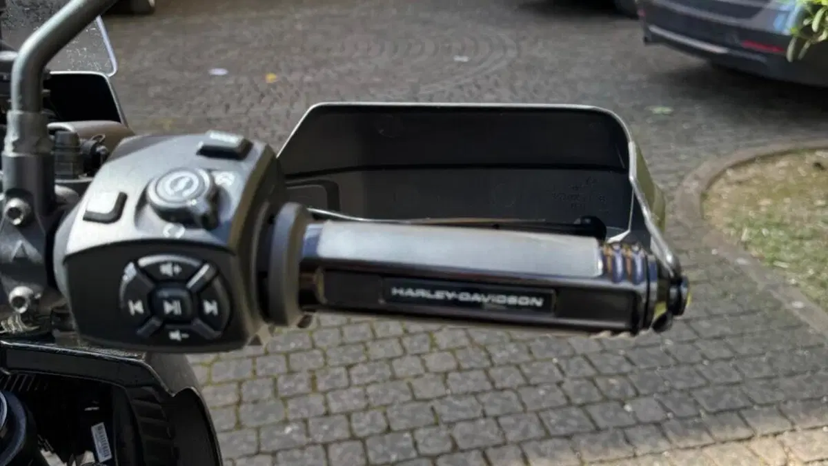 Harley-Davidson Pan America 1250 Special (2020 - 25)  (16)