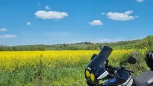 Yamaha   (4)