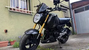 Honda MSX 125 Grom (2021 - 26) 