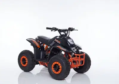  Altre moto o tipologie Quad - Annuncio 10014516