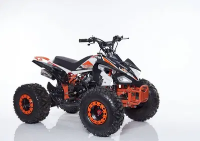  Altre moto o tipologie Quad - Annuncio 10014528