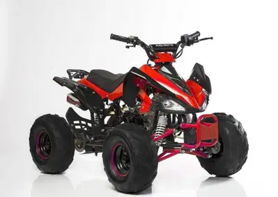  Altre moto o tipologie Quad - Annuncio 10014530