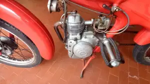 Motom   (4)