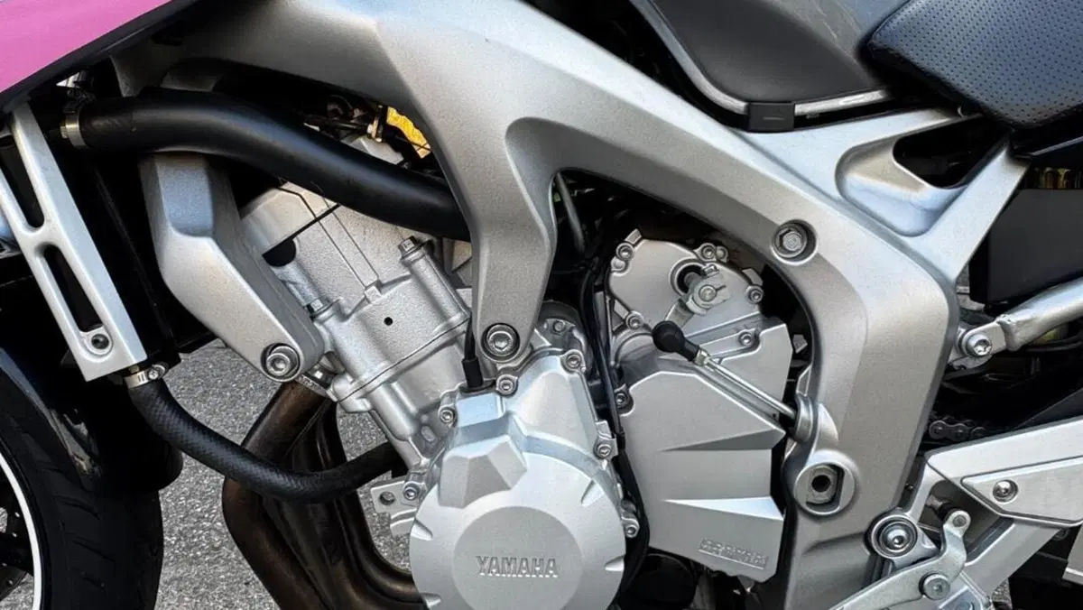 Yamaha FZ6 Fazer (2004 - 07)  (3)