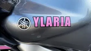 Yamaha FZ6 Fazer (2004 - 07)  (13)