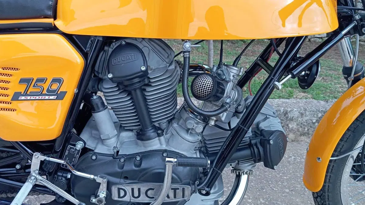 Ducati   (3)