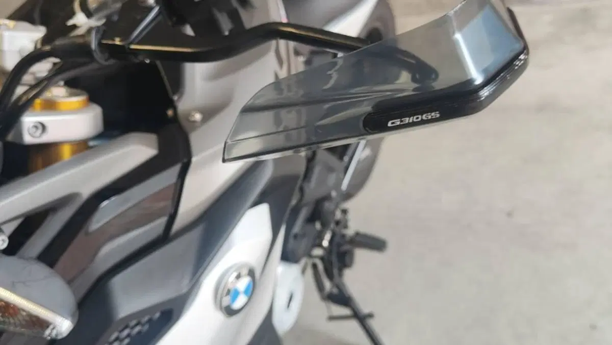 Bmw G 310 GS (2017 - 20)  (5)