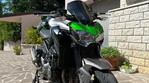 Kawasaki Z 900 Performance (2019)  (4)