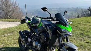 Kawasaki Z 900 Performance (2019)  (6)
