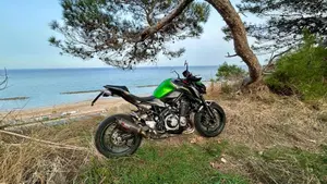 Kawasaki Z 900 Performance (2019)  (7)