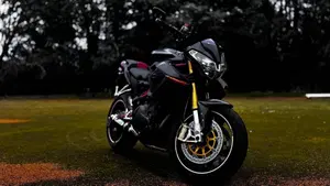 Benelli TNT 1130 (2004 - 08)  (5)
